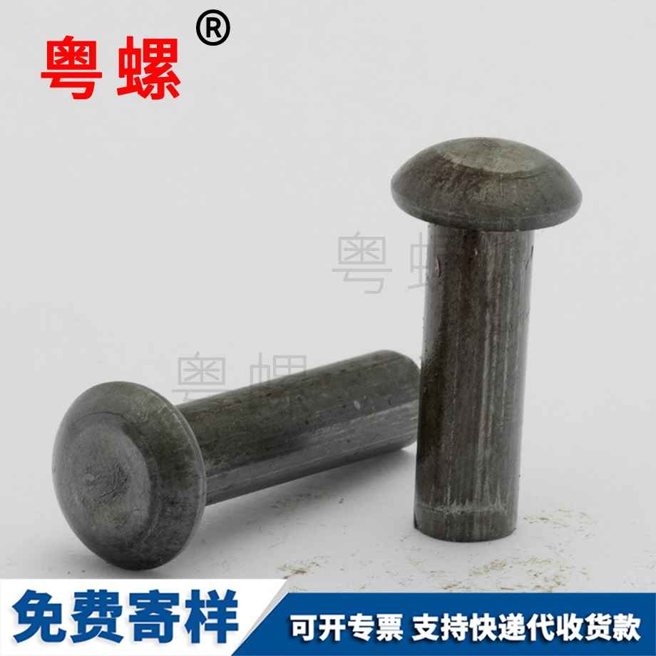 圓頭本色 圓頭本色