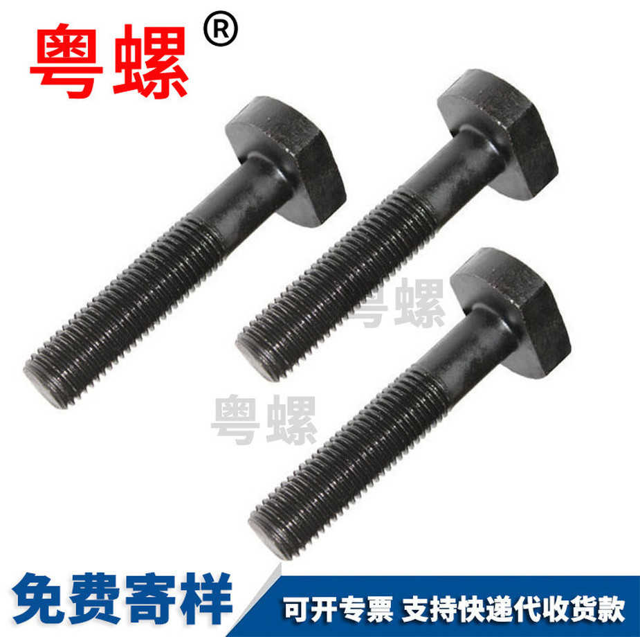 永州T型螺絲廠家生產(chǎn)永州光伏支架螺栓DIN25192201不銹鋼