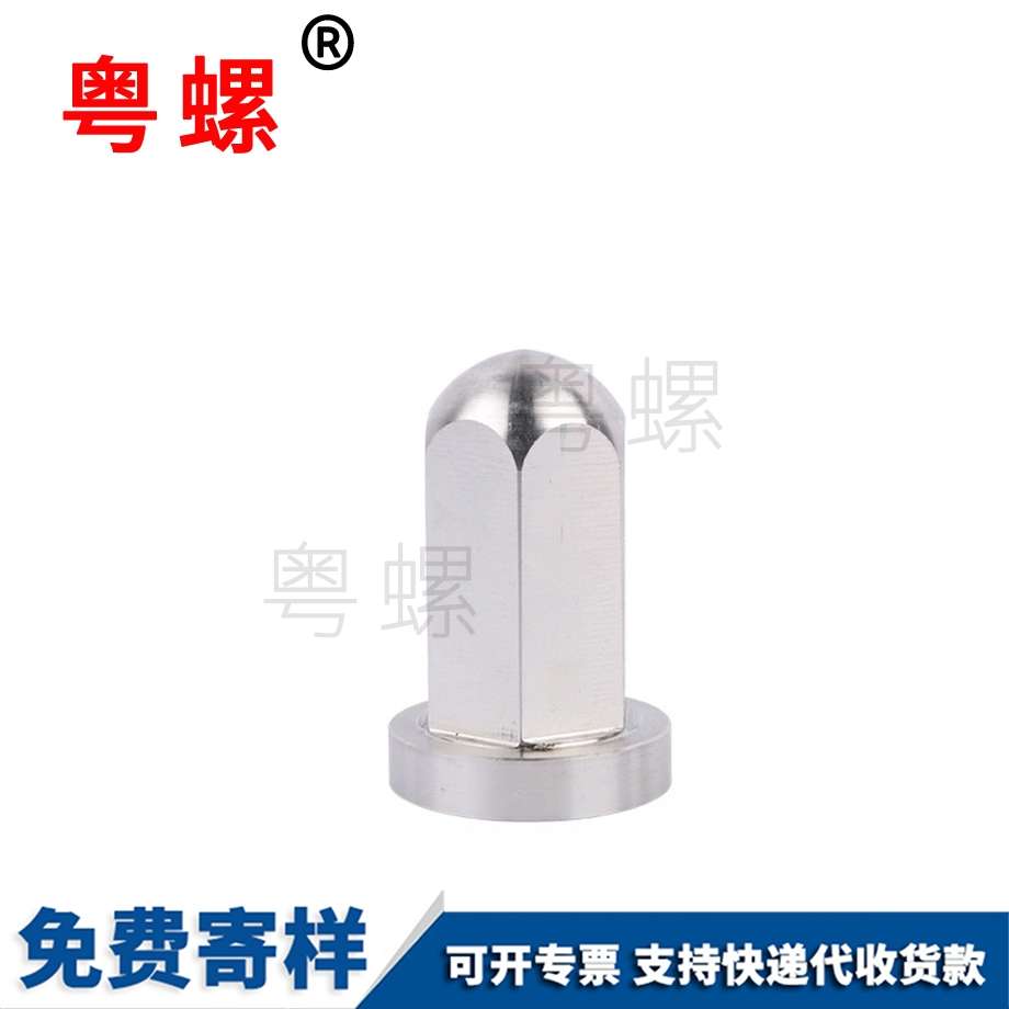 非標(biāo)不銹鋼蓋形螺母 非標(biāo)不銹鋼蓋形螺母