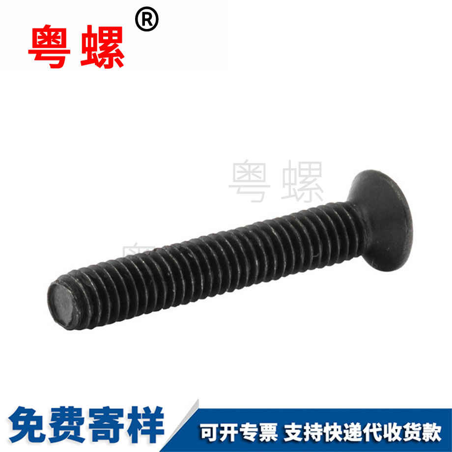 生產(chǎn)黑色十字迪慶沉頭螺絲
