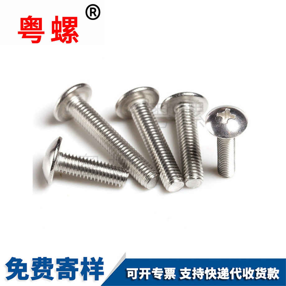 西雙版納大扁頭西雙版納機螺釘