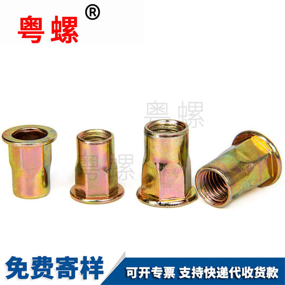 秦皇島拉鉚螺母
