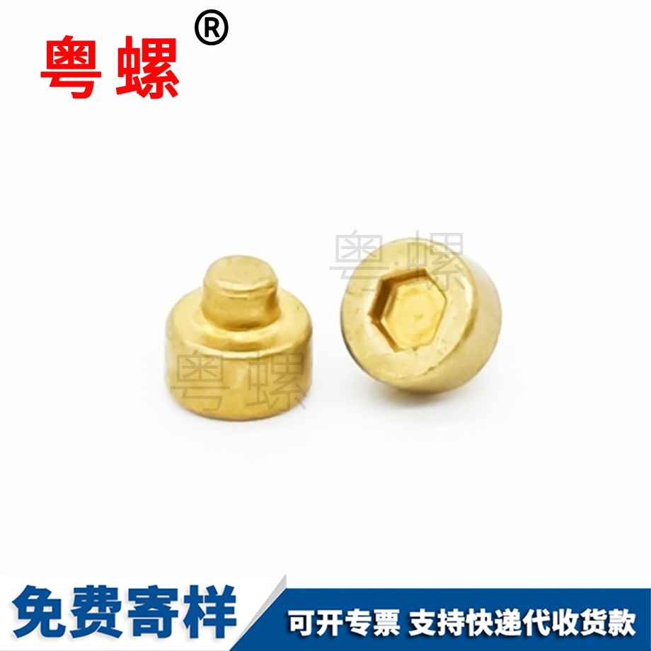 西藏無人機螺桿