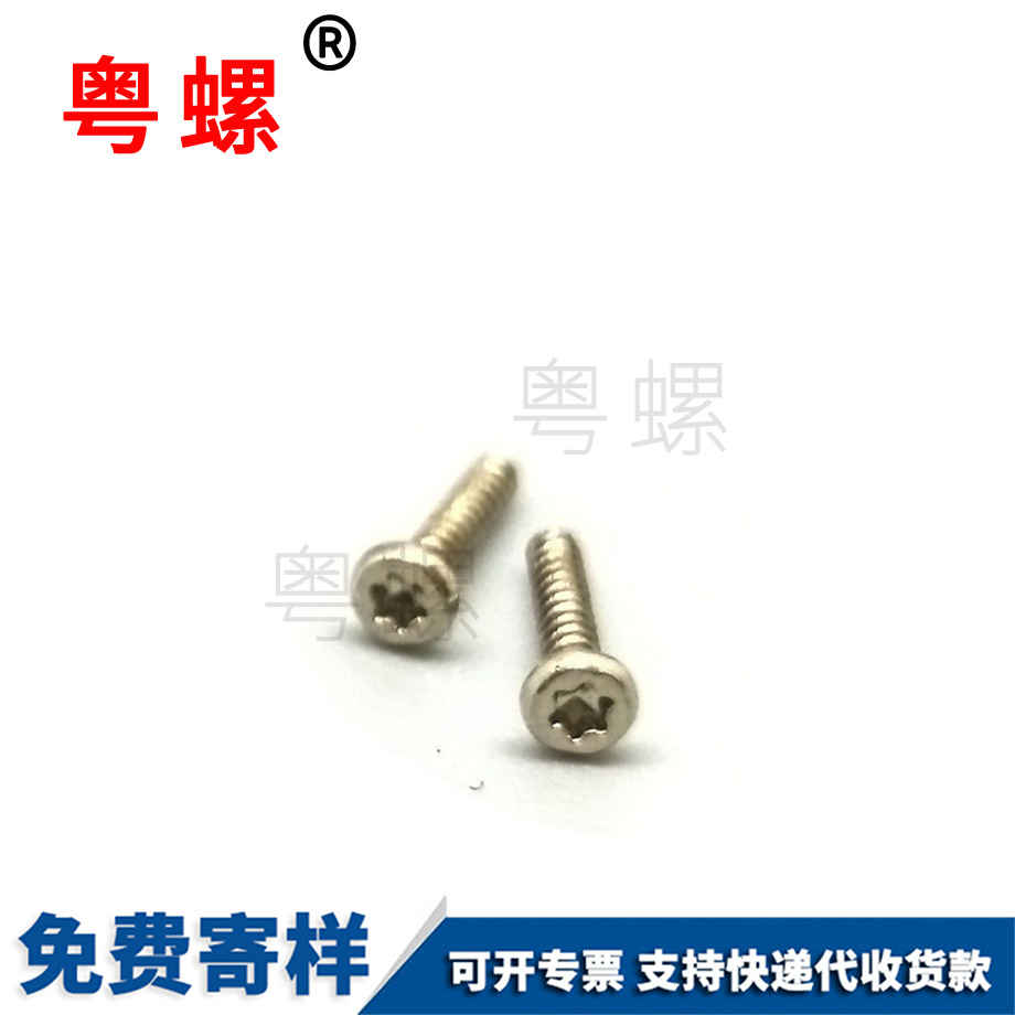 加工非標(biāo)電子西雙版納小螺絲