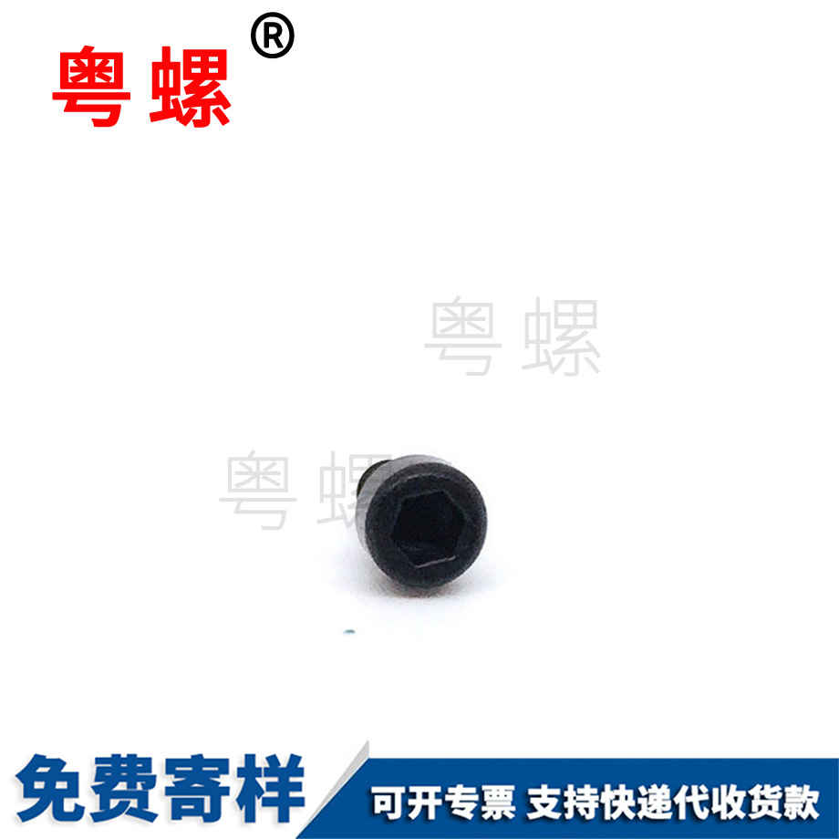 生產(chǎn)杯頭梅花牡丹江自攻螺絲