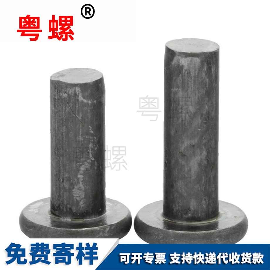 訂制鐵秦皇島平頭實心鉚釘
