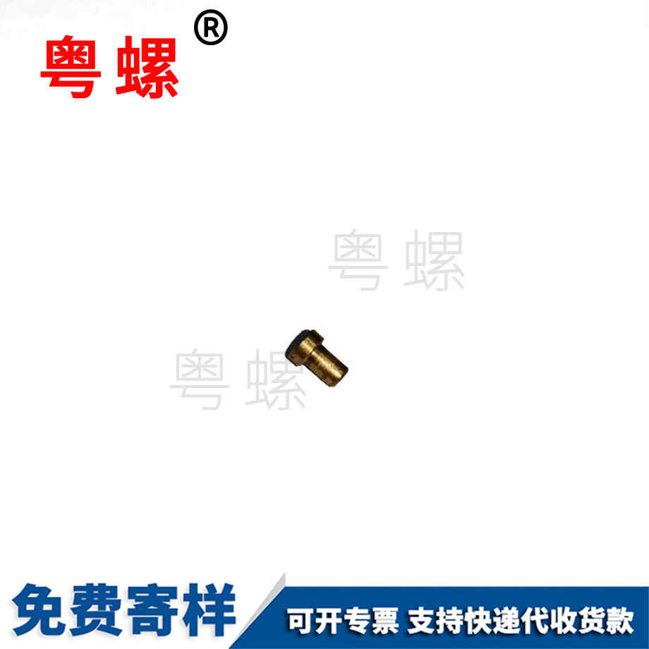 秦皇島秦皇島非標(biāo)秦皇島不銹鋼螺絲