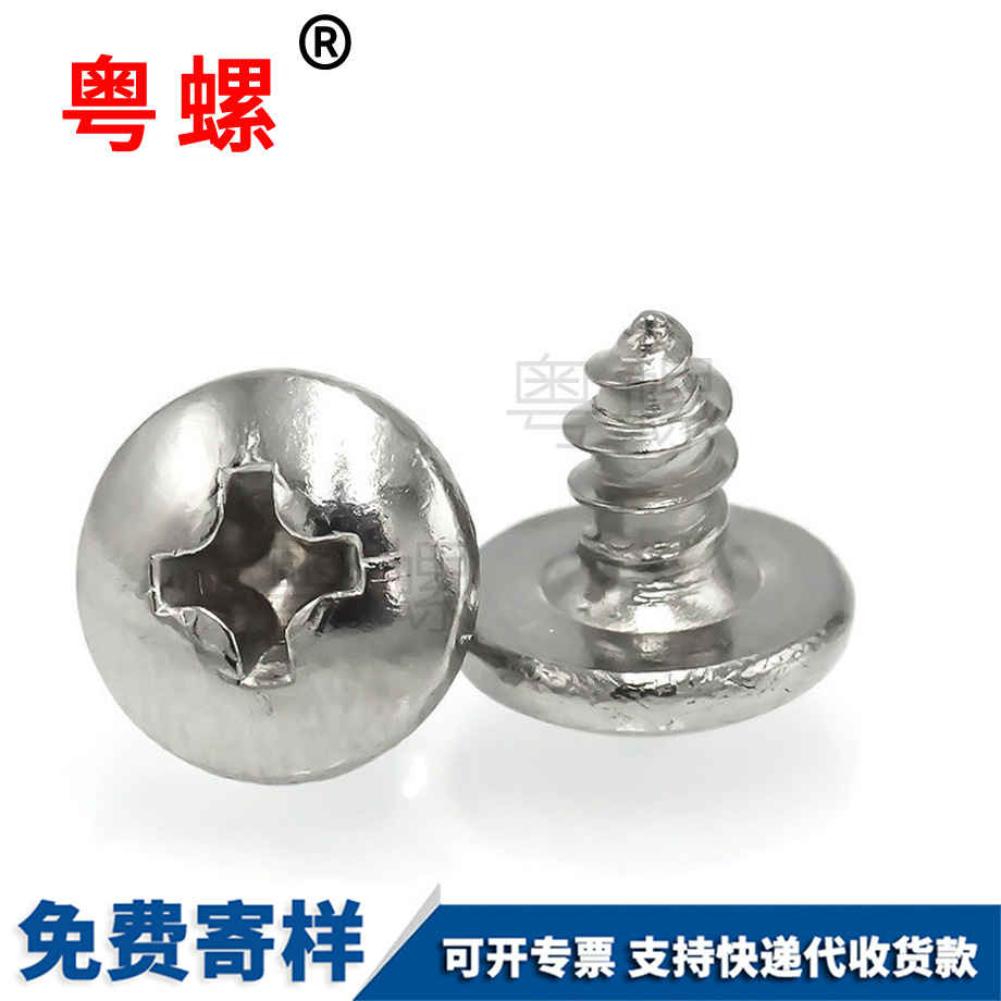 迪慶迪慶尖尾迪慶自攻螺絲