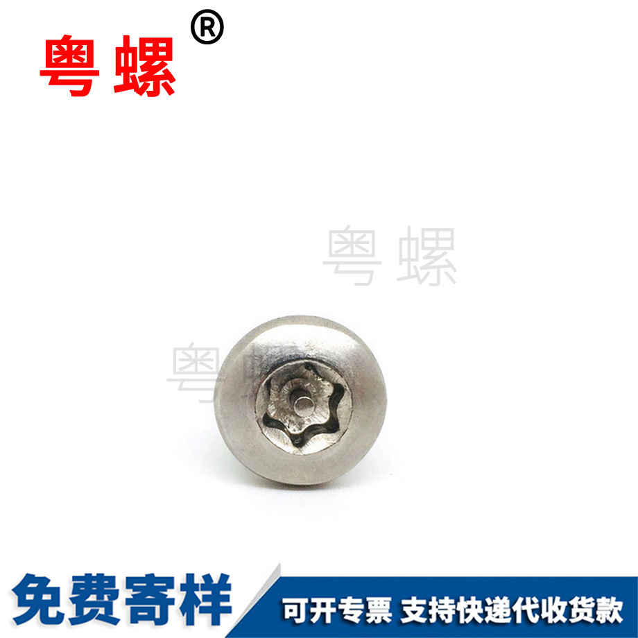 臨滄不銹鋼304臨滄防盜螺絲
