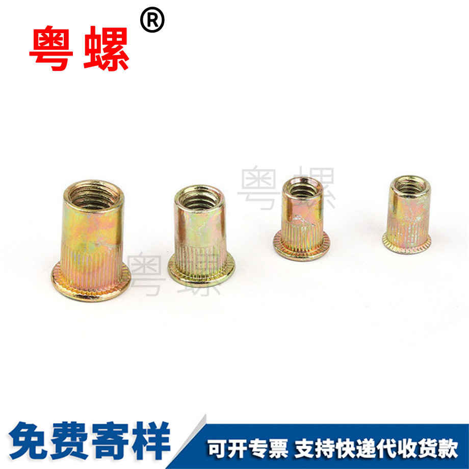 定做綏化拉鉚螺母