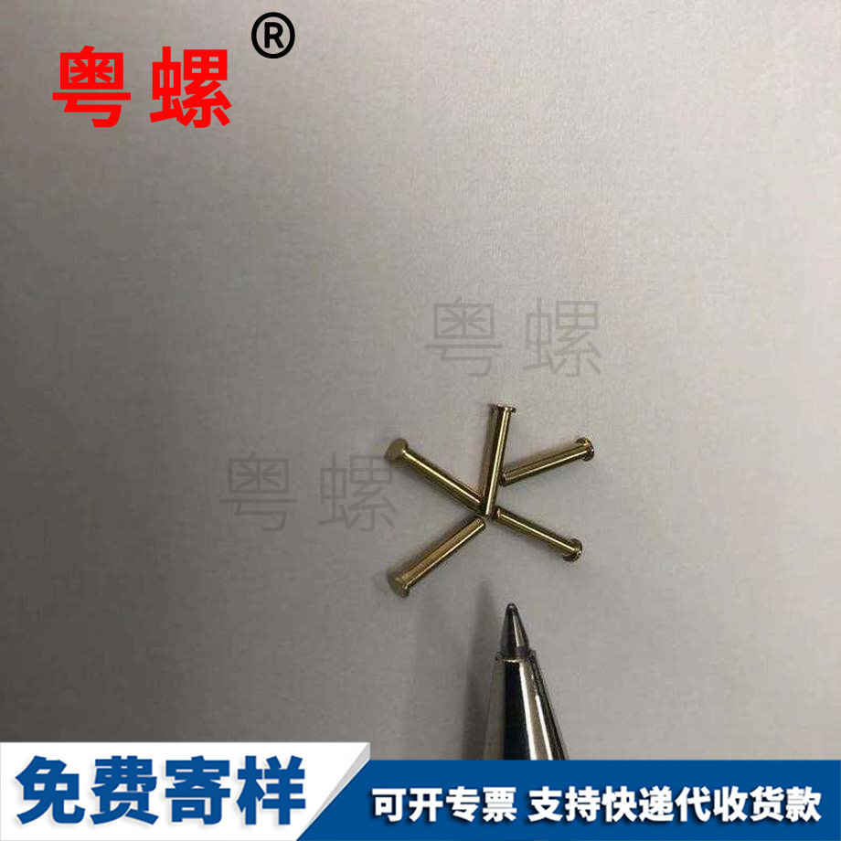 國標(biāo)德宏銅螺釘